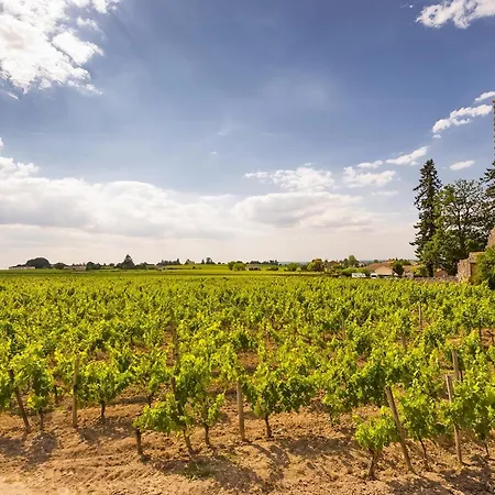 Petite Maison Au Coeur Des Vignes Et Des Chevaux Apartment