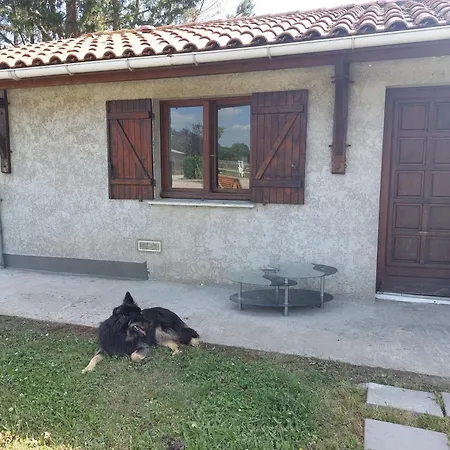 Petite Maison Au Coeur Des Vignes Et Des Chevaux Lägenhet *