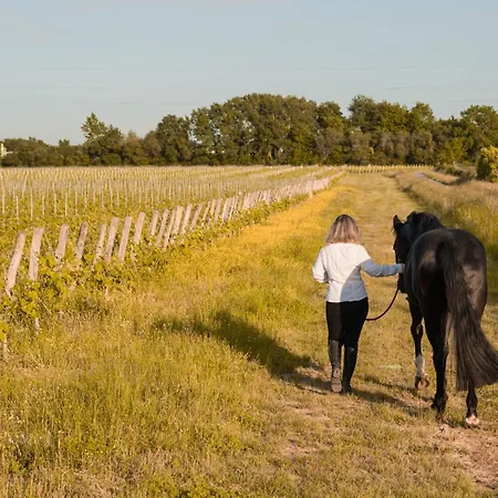 Lägenhet Petite Maison Au Coeur Des Vignes Et Des Chevaux *